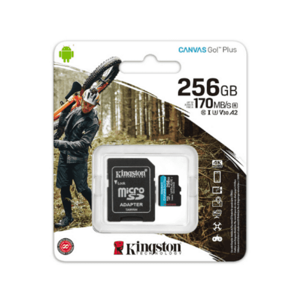 Kingston SDCG4 256Gb (U3, UHS-I, V30, A2) MicroSD/XC High Speed